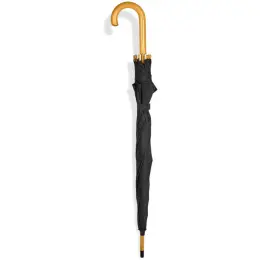 Umbrella Black Folded